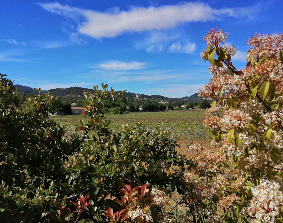 Au Villadior - Vaison La Romaine Exteriér fotografie