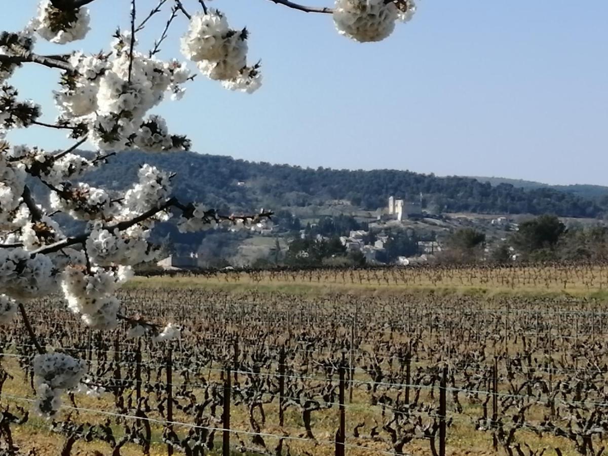 Au Villadior - Vaison La Romaine Exteriér fotografie